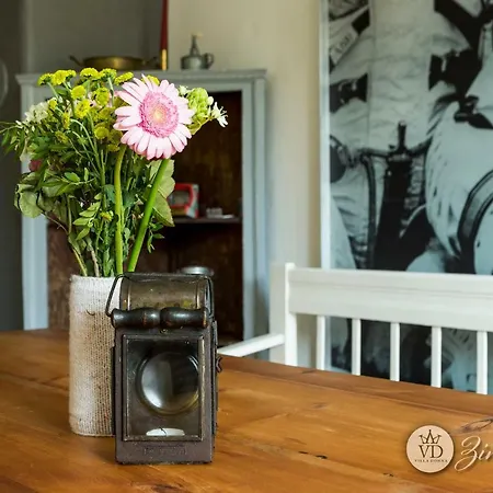 Zimmerblick Dohna Apartamento *